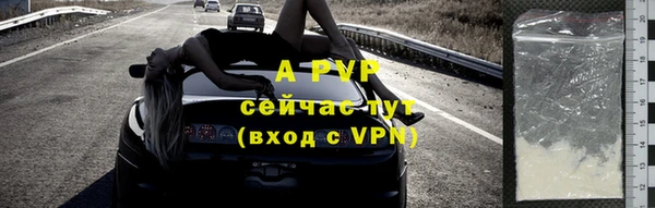 стаф Козельск