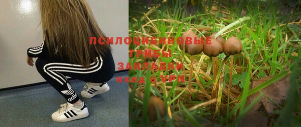 стаф Козельск