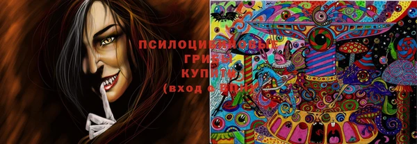 стаф Козельск