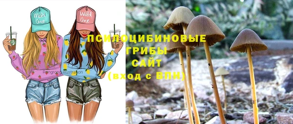стаф Козельск